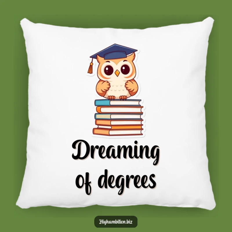 Funny Graduation Owl Books Pillow - Cozy Humorous Scholar Decor Gift