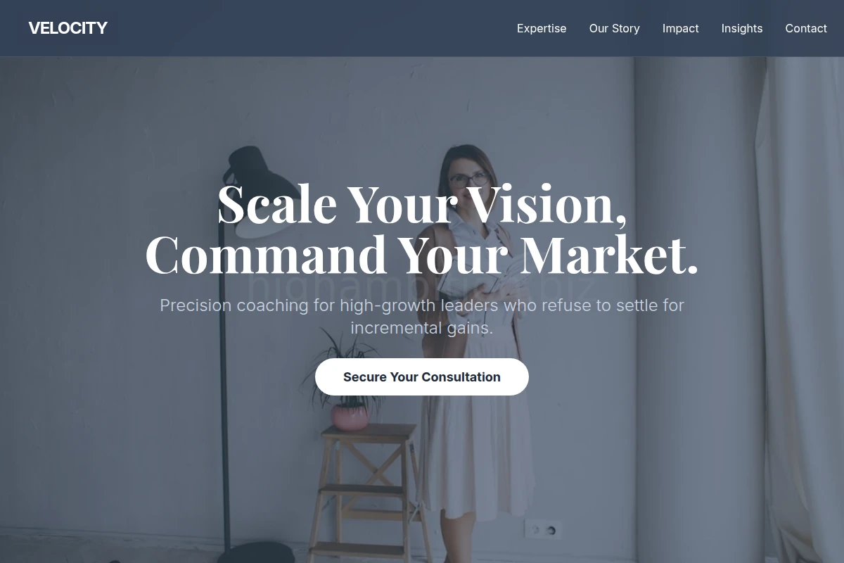 Velocity Business Coach