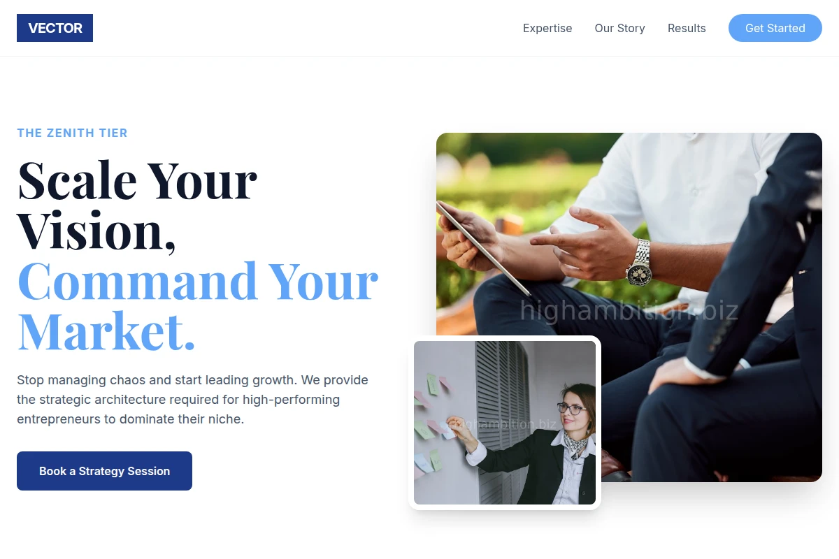 Vector Business Coach