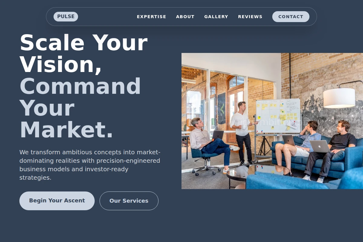 Pulse Business Plan