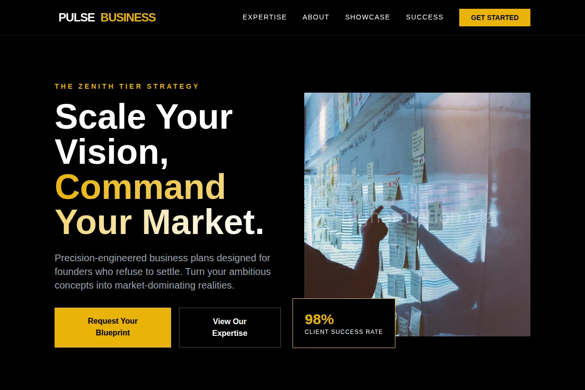 Pulse Business Plan