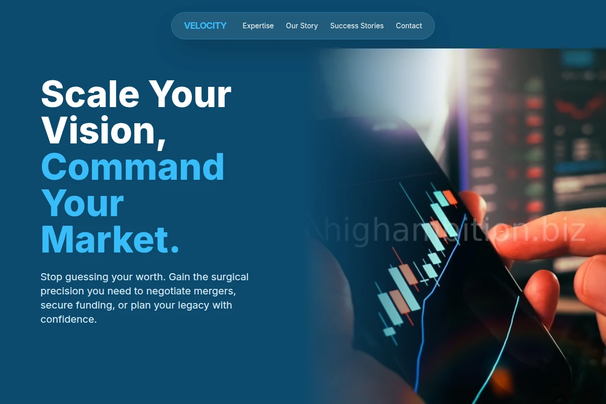 Velocity Business Valuation