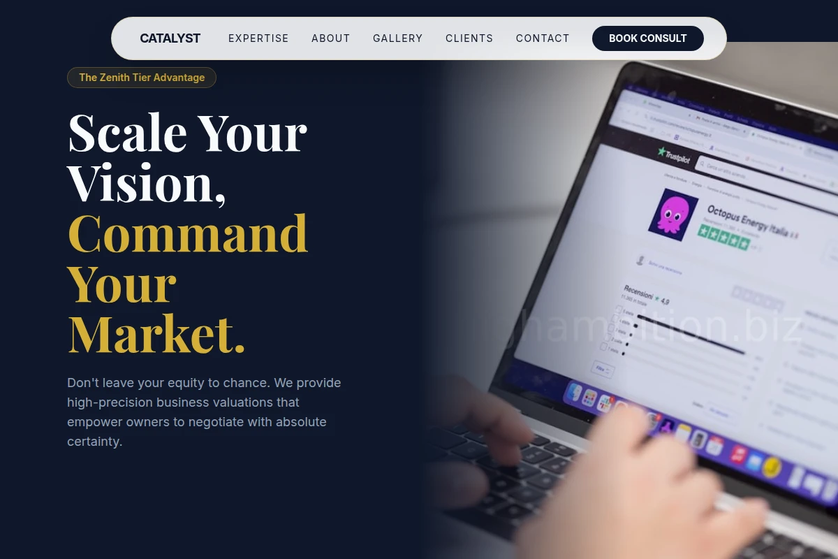Catalyst Business Valuation