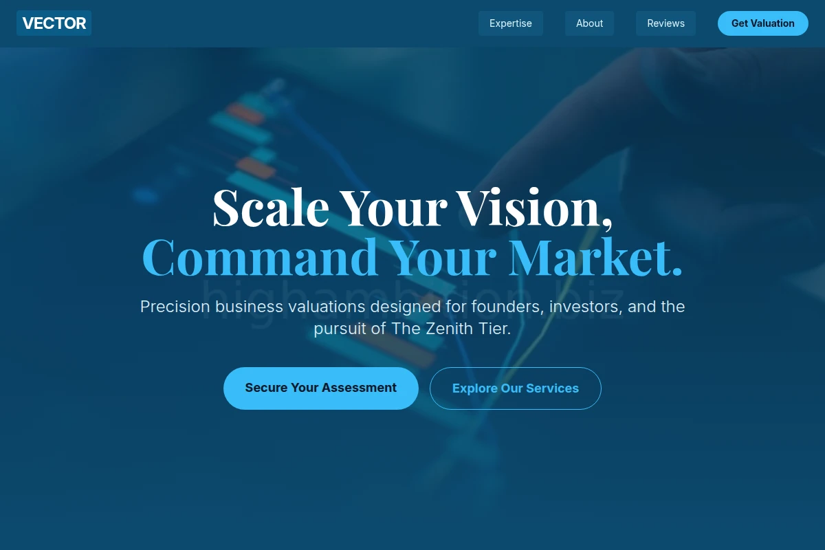 Vector Business Valuation